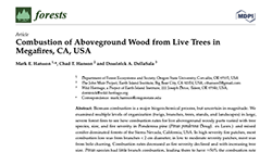Combustion of Aboveground Wood