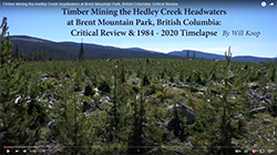 Timber Mining the Hedley Creek Headwaters at Brent Mountain Park, BC